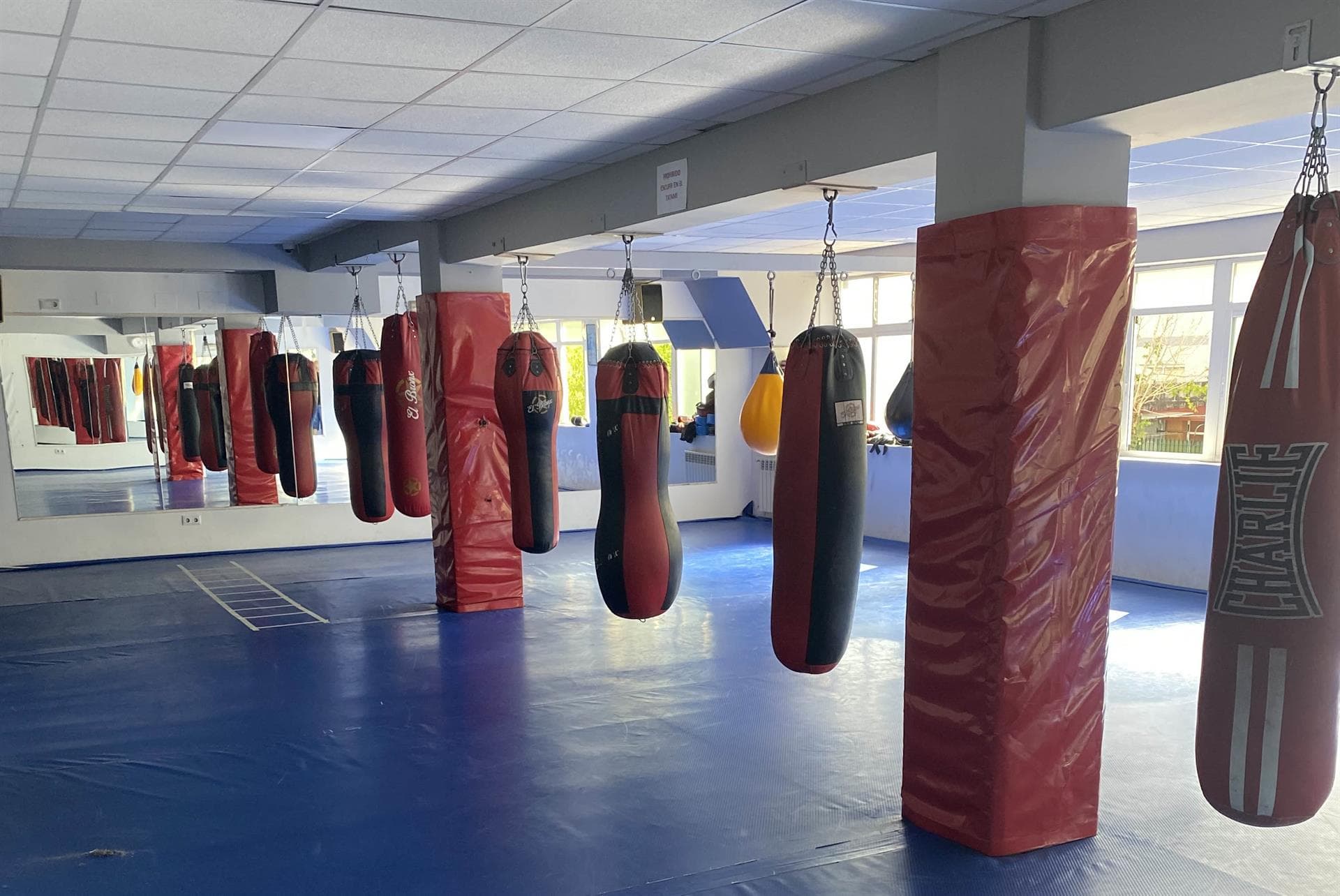 Club de boxeo en Ourense