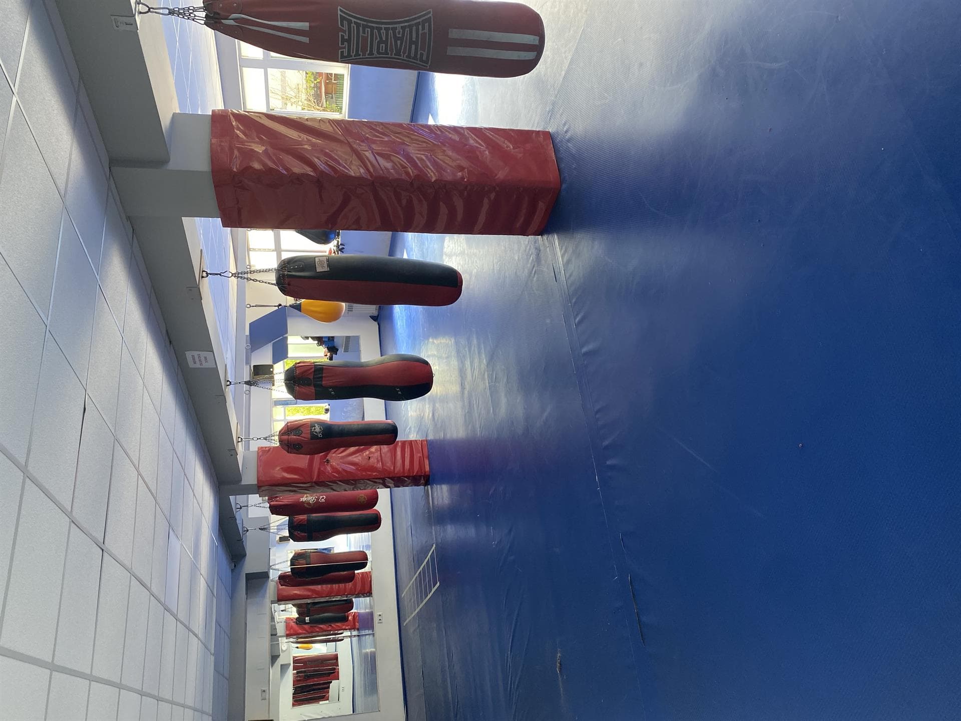 Instalaciones gimnasio Olimpo's