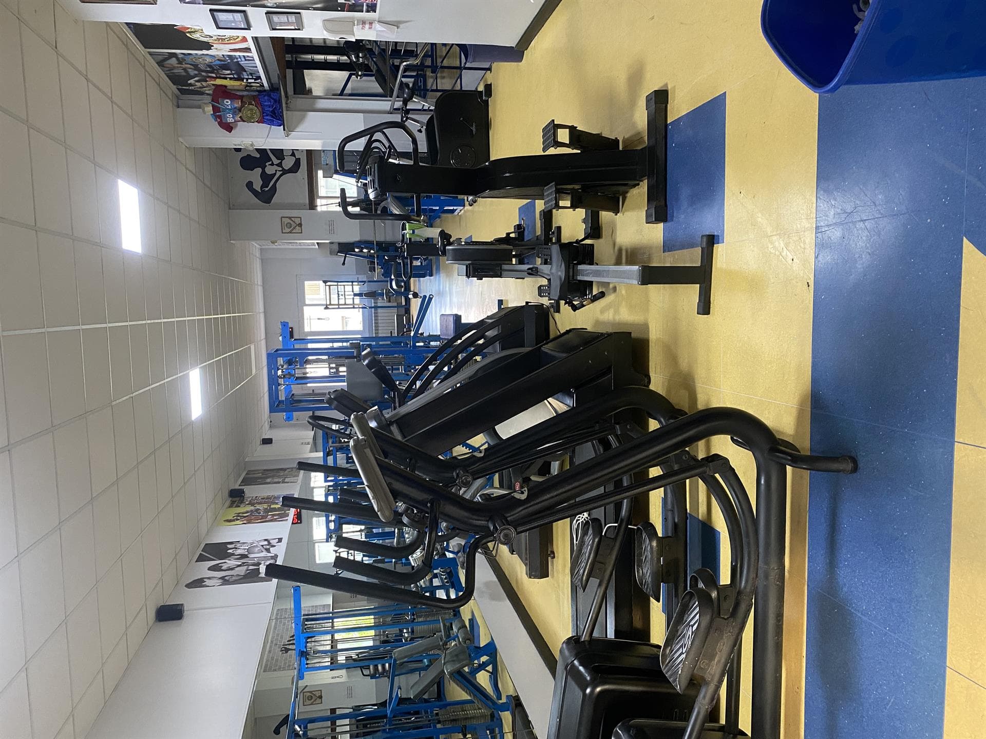 Instalaciones gimnasio Olimpo's